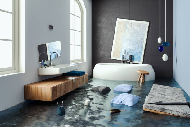 Best Flooded house restoration  in Edgewater, MD