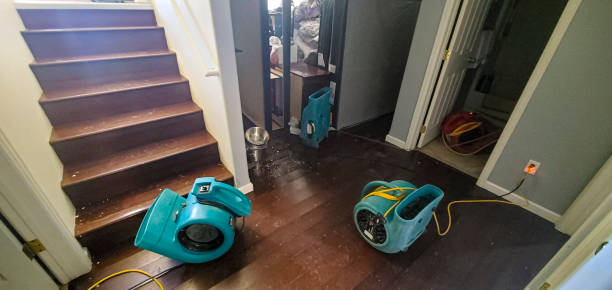 Best Water damage restoration near me  in Edgewater, MD