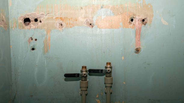 Best Flood damage cleanup  in Edgewater, MD