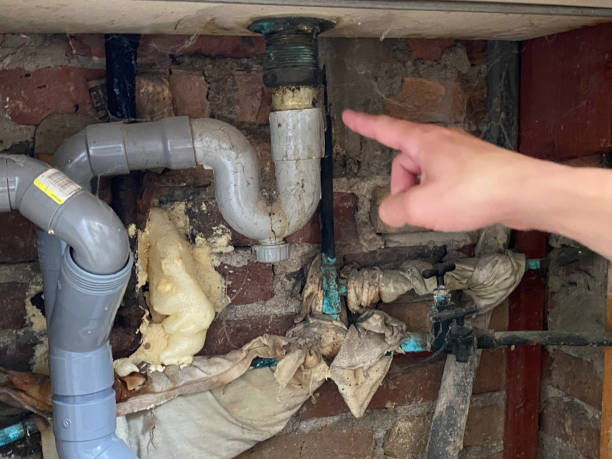 Best Water damage cleanup near me  in Edgewater, MD
